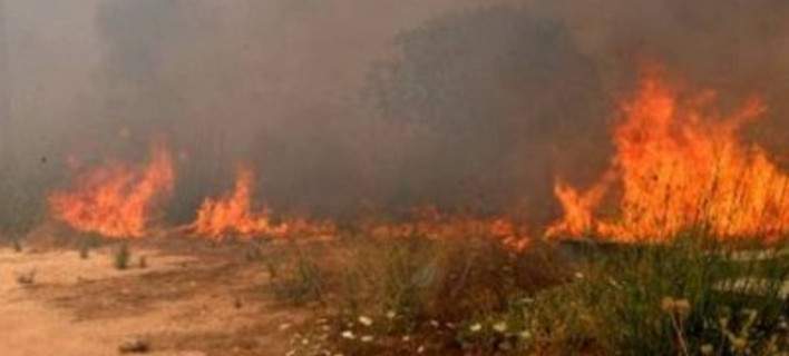 Μεγάλη φωτιά σε εξέλιξη στη Βοιωτία -Με 4 αεροσκάφη στη μάχη η πυροσβεστική [εικόνες]