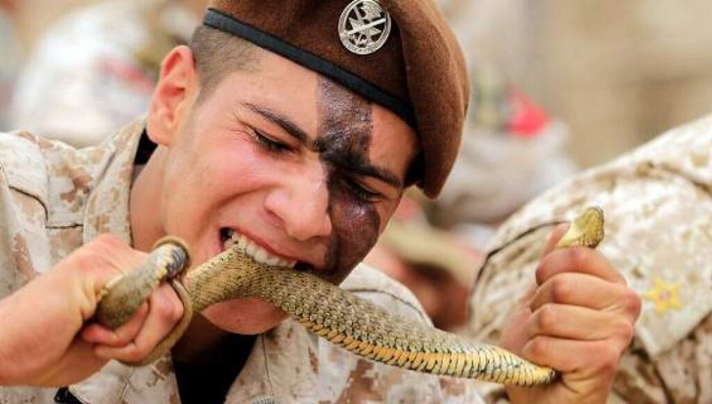 Δαγκώνουν φίδια, σέρνουν φορτηγά: Η επίδειξη των κομάντο στον Λίβανο [εικόνες]