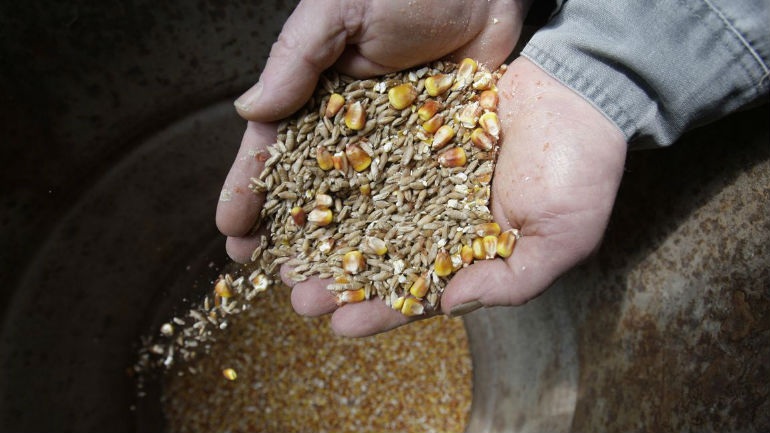 Ρέθυμνο: Έστησε ολόκληρη απάτη για ένα τσουβάλι ζωοτροφής