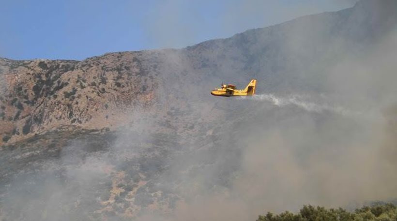 Λαμία: Πυρκαγιά σε εξέλιξη στη Δίβρη- Επιχειρούν 2 καναντέρ