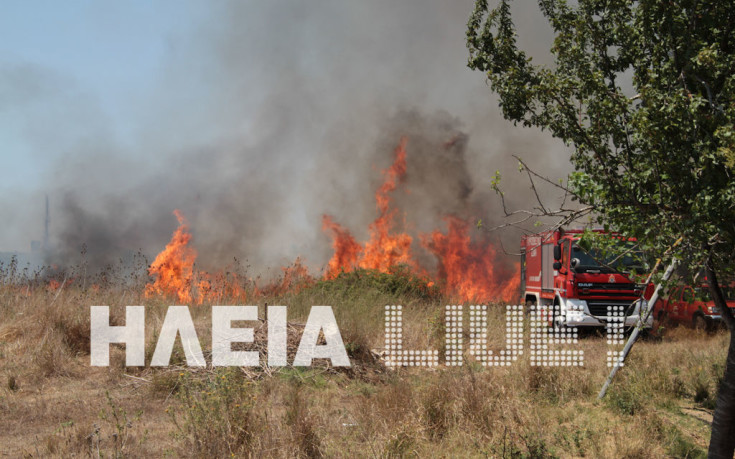 Στάχτη έγιναν 40 στρέμματα στη Μανωλάδα