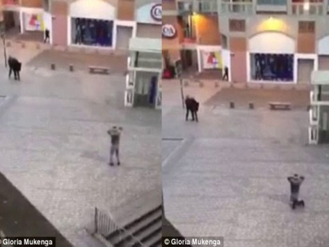 Η στιγμή της σύλληψης δύο υπόπτων στο Saint Denis: “Στα γόνατα- Δείξε μου την πλάτη σου” (βίντεο)