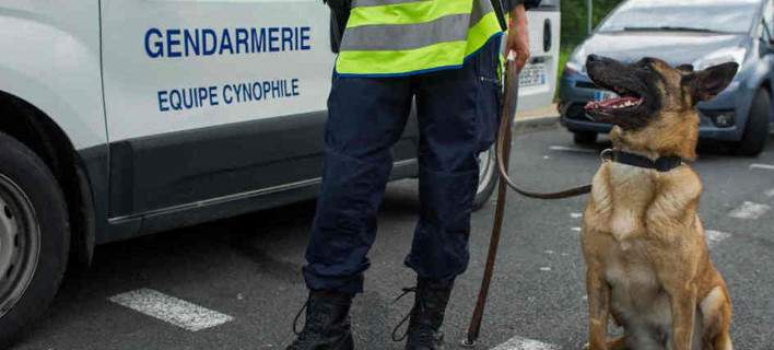 Νεκρός ο σκύλος της αστυνομίας που μπήκε πρώτος στο διαμέρισμα των τρομοκρατών