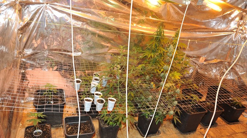 Συνελήφθη 42χρονος στην Κυψέλη: Είχε μετατρέψει το σπίτι σε φυτεία χασίς (φωτο)