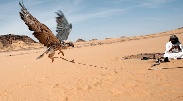 Απαγωγή μελών της βασικής οικογένειας του Κατάρ από Τζιχαντιστές του ISIS!