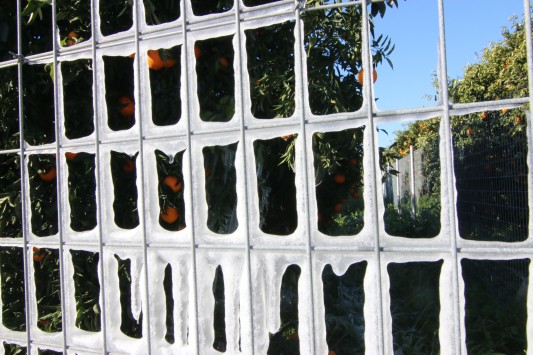 Οδηγίες προστασίας για πεζούς και οδηγούς σε παγετό