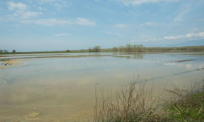 Πλημμύρισαν σπίτια και αγροτικές εκτάσεις στη Ροδόπη (φωτό)