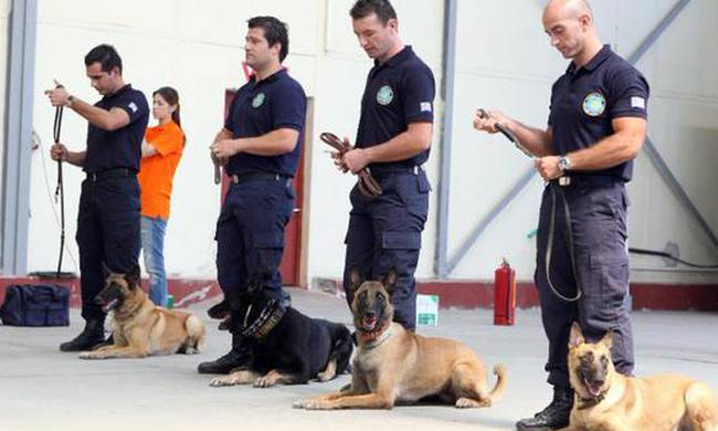 Ετσι εκπαιδεύονται τα σκυλιά της ΕΛ.ΑΣ  (βίντεο)