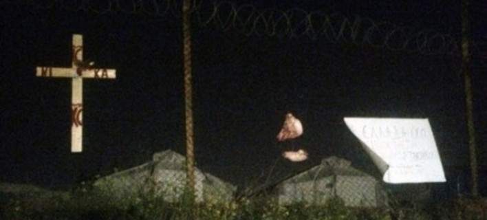 Κάρφωσαν κεφάλι γουρουνιού στο κέντρο λαθρομεταναστών του Σχιστού [φωτό]