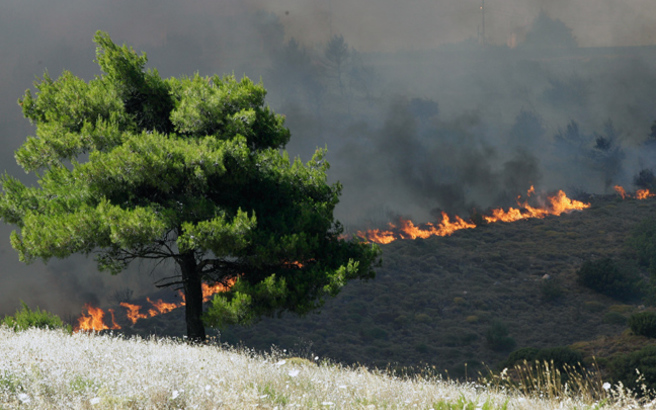 Υπό έλεγχο πυρκαγιά στις Μαλάδες Ηρακλείου