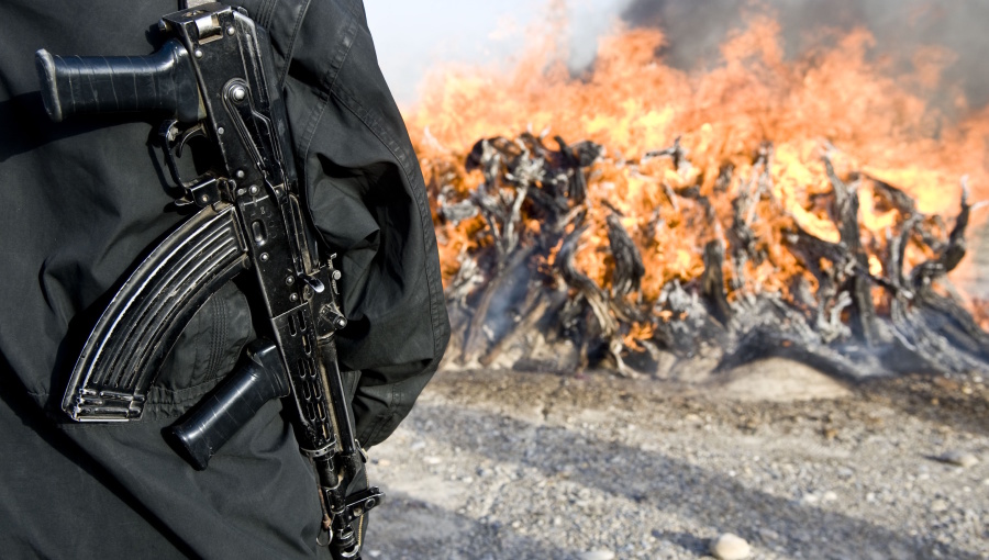 Το Στέιτ Ντιπάρτμεντ χαρακτηρίζει την Αλβανία κύρια πηγή παραγωγής μαριχουάνας