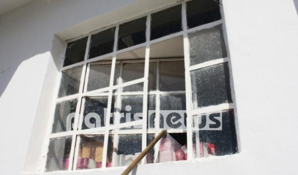 Ηλεία: Ο διαρρήκτης ήταν αίλουρος και καλά ενημερωμένος – Τι έδειξε η κάμερα ασφαλείας…