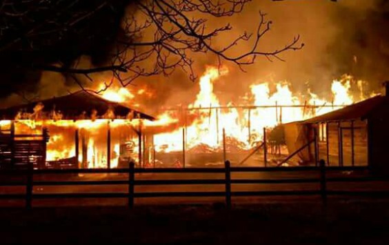 Χαλκιδική: Μεγάλη φωτιά σε μετόχι μεταξύ Ιερισσού και Στρατωνίου