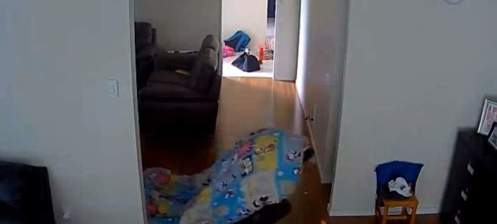 Νεά Ζηλανδία: Διαρρήκτης προσπαθεί να κρυφτεί με … παιδικό πάπλωμα [βίντεο]