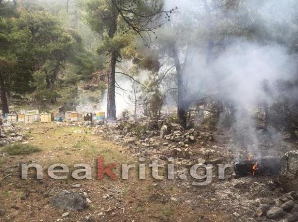 Σε εξέλιξη μεγάλη φωτιά στην Ιεράπετρα – Απειλεί το δάσος [φωτό]