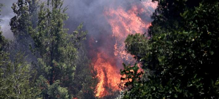 Στις φλόγες η Νεμέα – Μεγάλη πυρκαγιά σε δασική έκταση στη Χάλκη