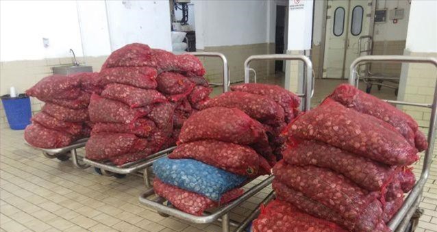 Συλλήψεις και κατασχέσεις ακατάλληλων οστράκων στην Αλεξανδρούπολη