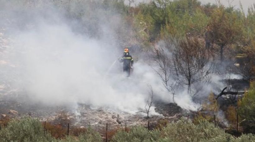 Σε ύφεση βρίσκονται οι φωτιές σε Ιεράπετρα και Μονεμβασιά