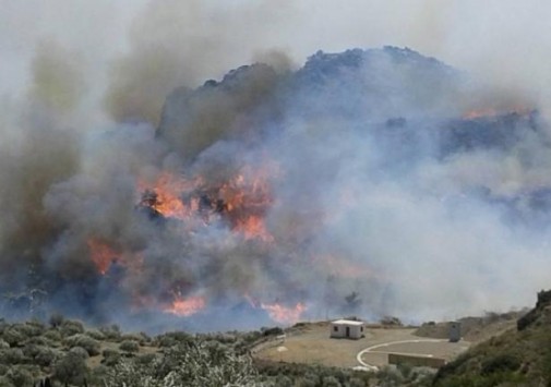 Κρήτη: Τεράστιες καταστροφές απο τη μεγάλη πυρκαγιά στις περιοχές Ανατολής και Μύρτου της Ιεράπετρας Λασιθίου (φωτό- βίντεο)