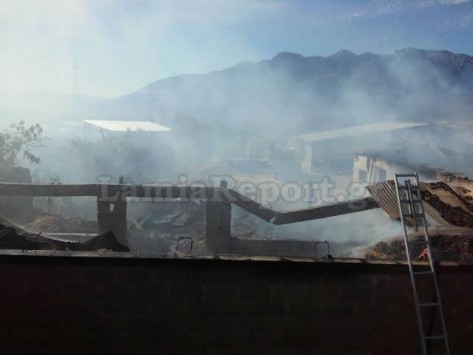 Φωτιά σε στάβλος στη Φθιώτιδα – Πρόλαβαν και έσωσαν τα ζώα (φωτό)