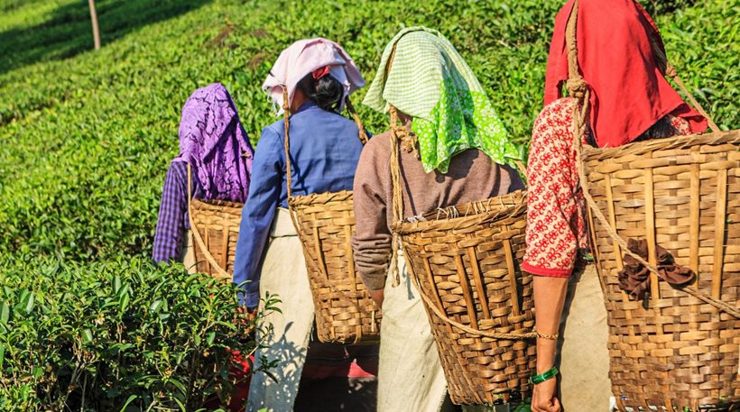 Ινδές πωλούνται σαν προϊόντα για 2 και 4 χιλιάδες δολάρια σε αραβικές χώρες
