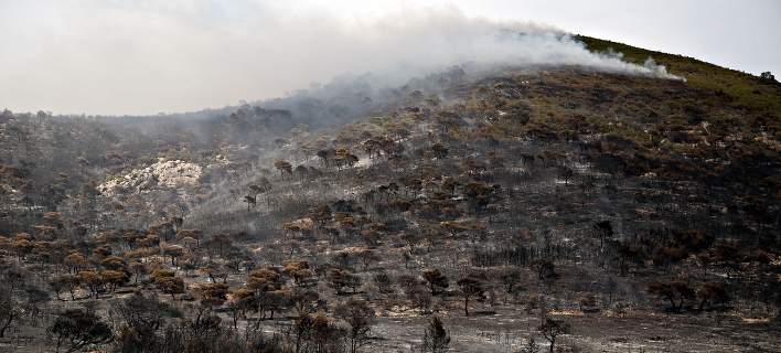 Συνέλαβαν 52χρονο για τη φωτιά στα Μέγαρα