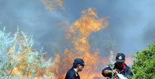 Μεγάλη φωτιά στα Μέγαρα- Πήρε έκταση λόγω των ισχυρών ανέμων!