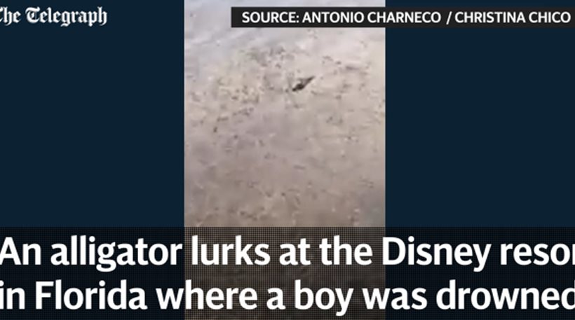 Είναι αυτός ο αλιγάτορας που σκότωσε το αγοράκι στη Disney World; (βίντεο)