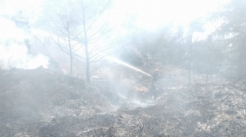 Ρόδος: Βελτιωμένη η εικόνα της φωτιάς – Κανένα ενεργό μέτωπο (φωτό)