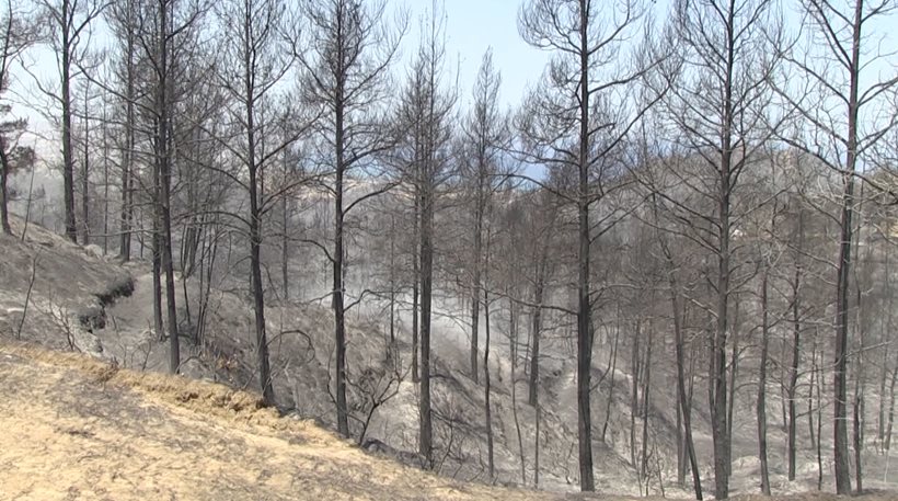 Ενεργά τα κύρια μέτωπα της πυρκαγιάς που μαίνεται στην Κύπρο-  Ανεπτυγμένες δυνάμεις σε όλη την περίμετρο