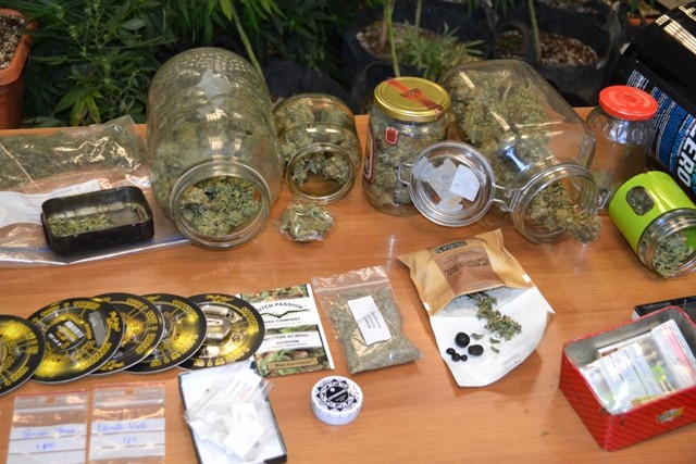 Κρήτη: Σύλληψη 3 ανδρών για χασισοφυτεία αξίας άνω των 250.000 ευρώ