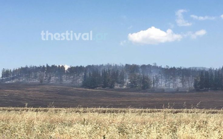 Σε εξέλιξη πυρκαγιές σε ανατολική και δυτική Θεσσαλονίκη (φωτό & vid)