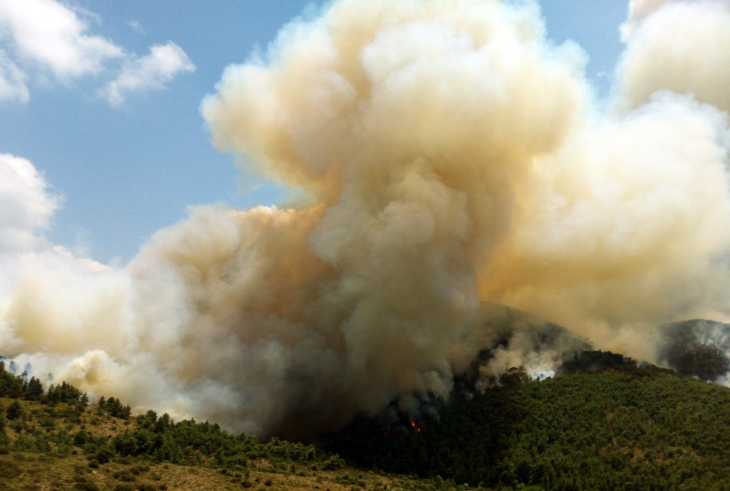 Αναζοπυρώθηκε η μεγάλη πυρκαγιά στα Δερβενοχώρια – Ακούγονται εκρήξεις από παλιά πυρομαχικά των ΕΑΣ [φωτό]