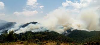 Υπό μερικό έλεγχο η πυρκαγιά στις Γούρνες Ηρακλείου