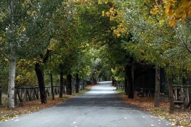 Ιωάννινα: Προληπτική απαγόρευση κυκλοφορίας οχημάτων σε δασικές περιοχές