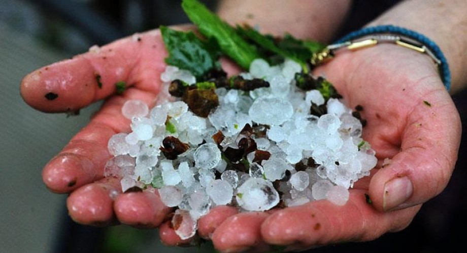 Τεράστιες καταστροφές απ’ το χαλάζι στην Καρδίτσα