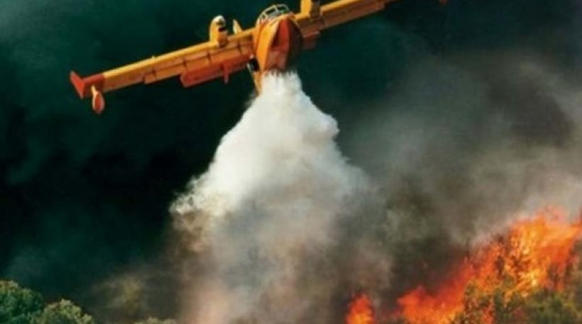 Φωτιά ξέσπασε σε δασική έκταση στα Κύθηρα