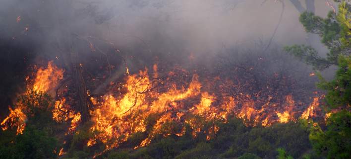 Υψηλός κίνδυνος πυρκαγιών σήμερα- Αναλυτικά ο χάρτης