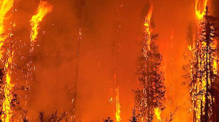 Σε εξέλιξη η μεγάλη πυρκαγιά στη Κρήτη- Δυνατοί άνεμοι στη περιοχή