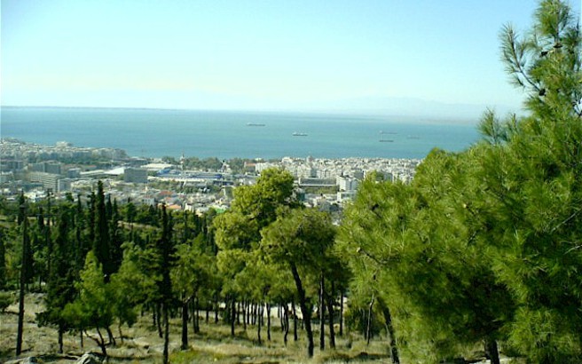 Περιπολίες από αέρος για την προστασία του Σέιχ Σου από εθελοντές