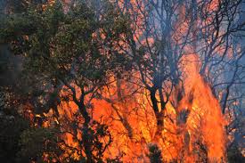 Χίος: Φωτιά στα Ψαρά- Επιχείρηση κατάσβεσης και από αέρος