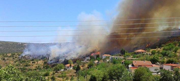 Σε εξέλιξη πυρκαγιά στον Άγιο Ιωάννη Κυνουρίας (upd) (φωτό&vid)