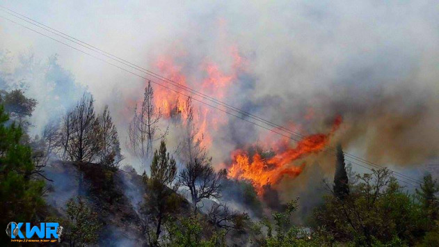 Σε ύφεση η πυρκαγιά στην Κυνουρία