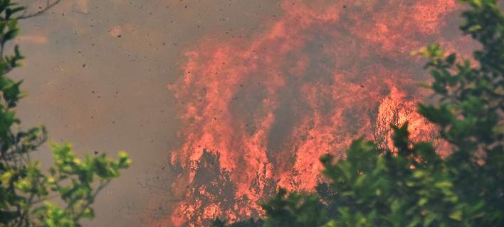 Υπό μερικό έλεγχο η πυρκαγιά στη Βέροια (φωτό)