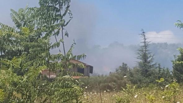 Φωτιά στη Βέροια: Έφτασαν μέχρι τις αυλές των σπιτιών οι φλόγες (φωτό)