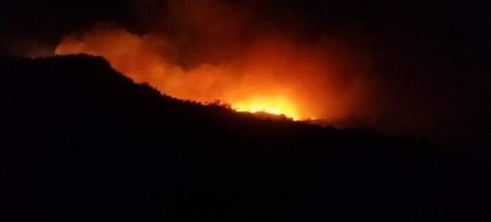 Ανεξέλεγκτη φωτιά στην Ιεράπετρα -Καίγεται το δάσος στο Σελεκάνο (φωτό)