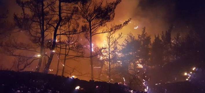 Κρήτη: Χιλιάδες στρέμματα δασικής και καλλιεργήσιμης έκτασης καταστράφηκαν από την πυρκαγιά (φωτό)