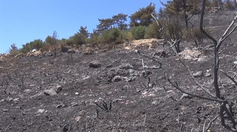 Λίγο έλειψε να καούν ζωντανοί Διοικητής και πυροσβέστες στο Σελάκανο!