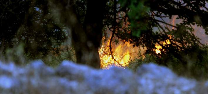 Υψηλός κίνδυνος πυρκαγιάς την Παρασκευή -Ποιες περιοχές κινδυνεύουν (χάρτης)