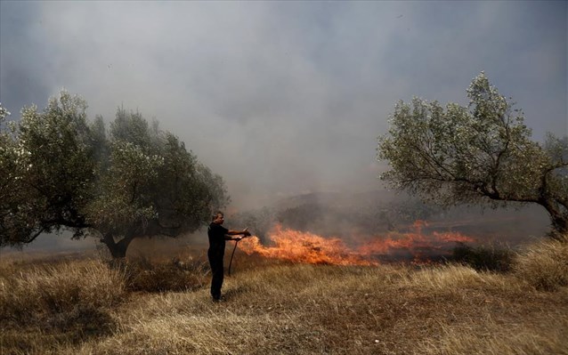 Πυρκαγιά στα Χλομοτιανά Κέρκυρας